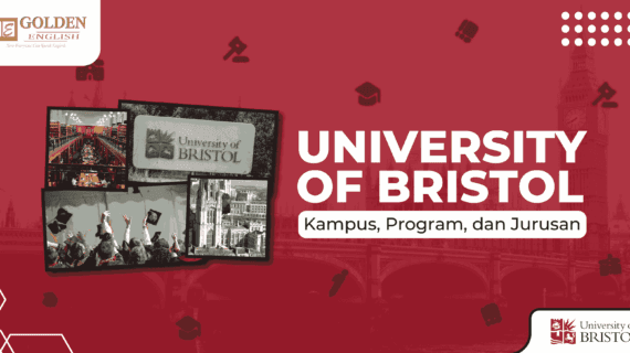 University of Bristol: Kampus, Program Studi dan Jurusan